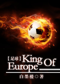 白墨楼小说《[足球]King Of Europe》